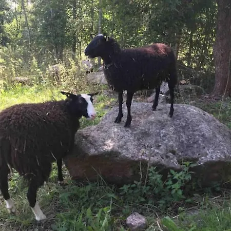 Niiralan Tila : Skyview Οργανωμένο κάμπινγκ