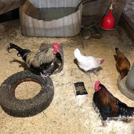 Luxusní stan Niiralan Tila : Skyview *