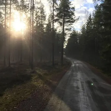 Niiralan Tila : Skyview Pahojoki