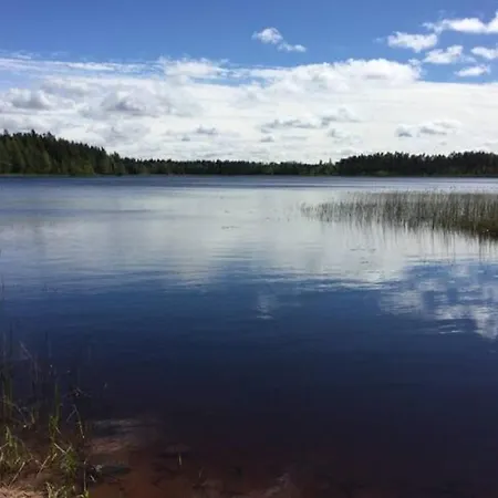 Niiralan Tila : Skyview